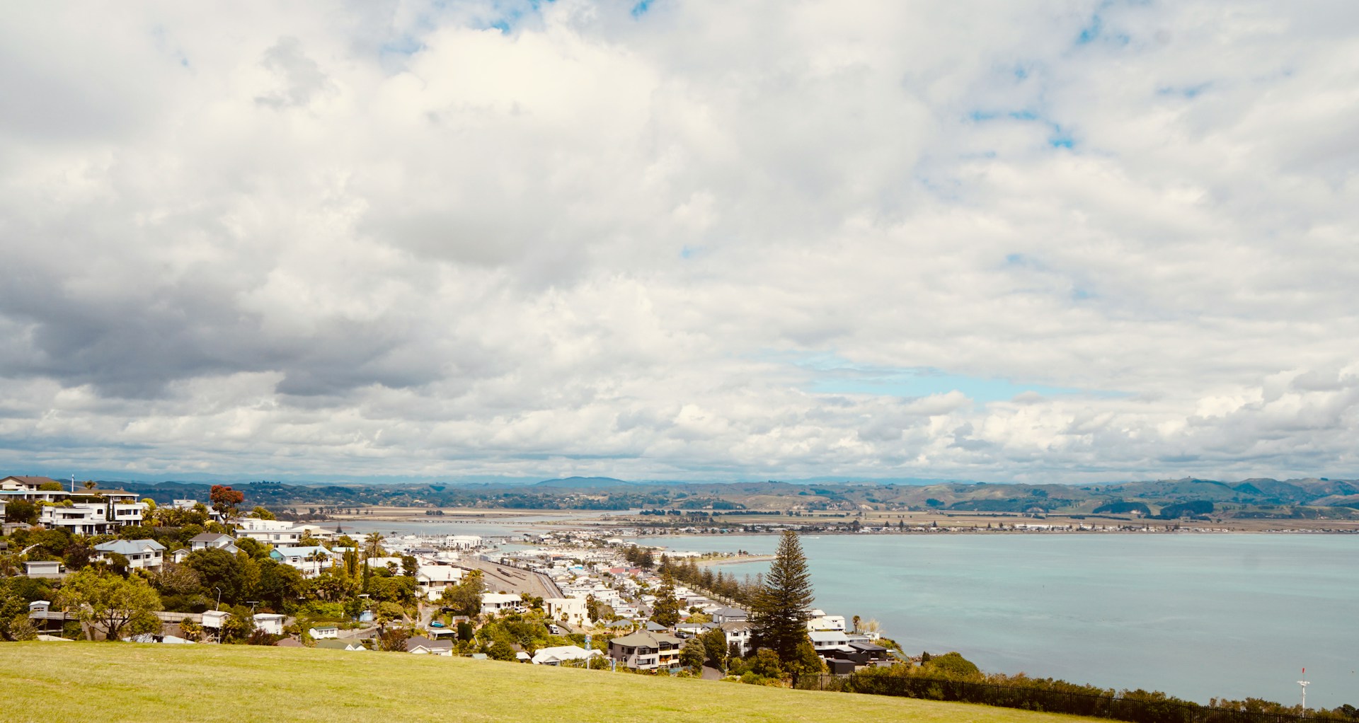 Napier