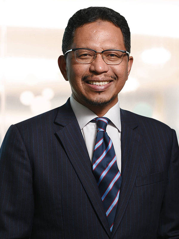 Zaini Ujang