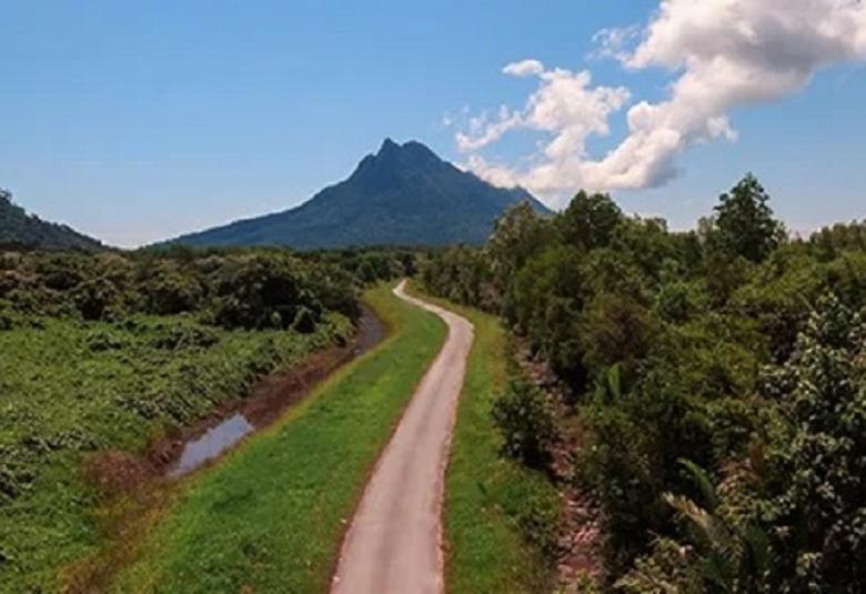 Hutan Sarawak