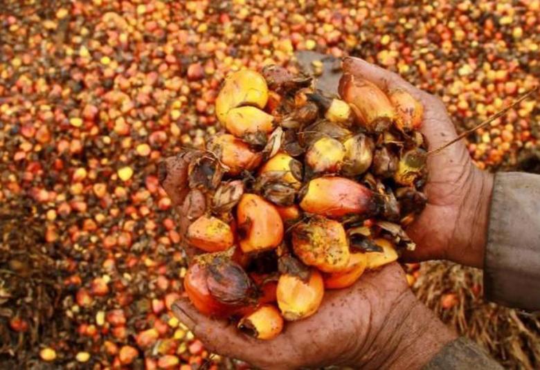 Permintaan minyak sawit dari India ini secara tidak langsung membantu memulihkan kembali pasaran minyak sawit di Malaysia dari segi harga dan stok yang turut berdepan dengan masalah kekurangan tenaga buruh. 