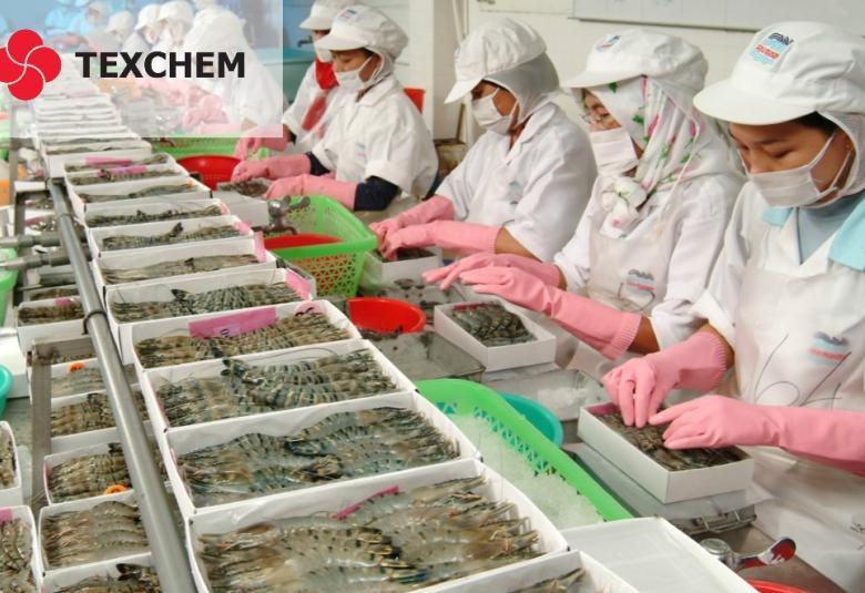 Texchem_DagangNews2026
