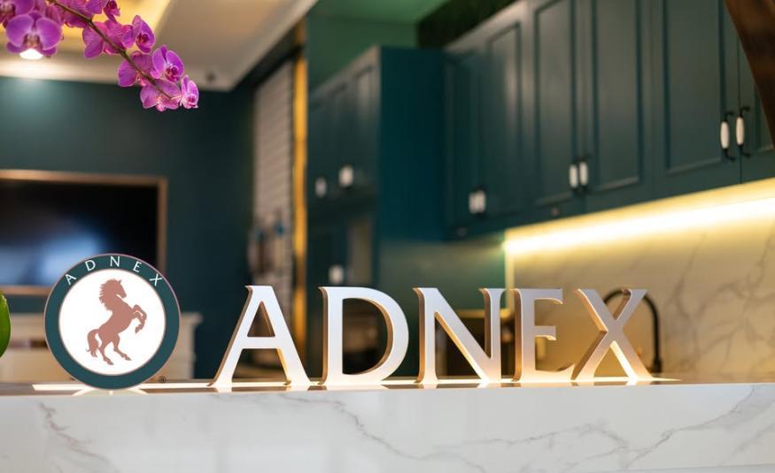 Adnex_DagangNews2026