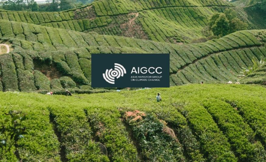AIGCC_DagangNews2026
