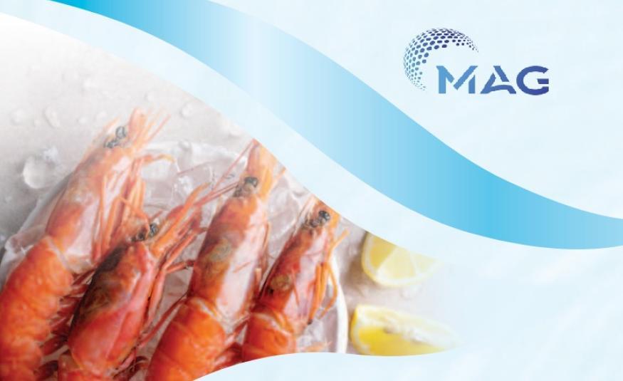 MAG Holdings_DagangNews2026