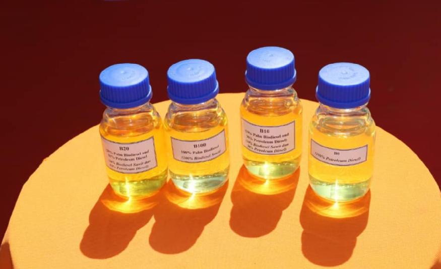 biodiesel_DagangNews