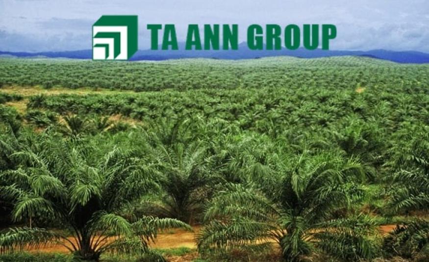 Ta Ann_DagangNews