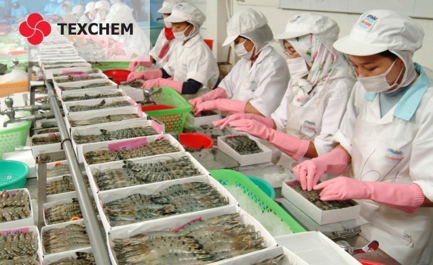 Texchem_DagangNews2026