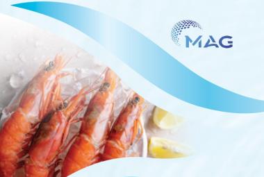 MAG Holdings_DagangNews