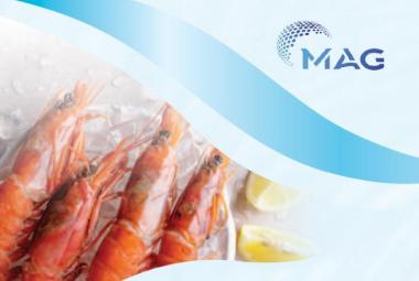 MAG Holdings_DagangNews2026