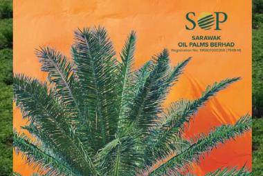 Sarawak Oil Palms_DagangNews