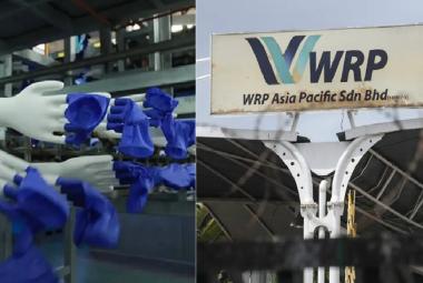 WRP sarung tangan_DagangNews