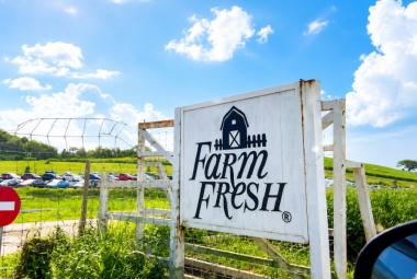 Farm Fresh_DagangNews2026