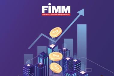 FIMM
