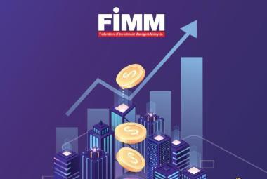 FIMM