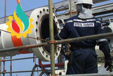Steel Hawk