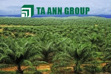 Ta Ann_DagangNews