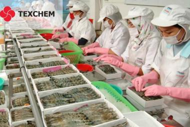 Texchem_DagangNews2026