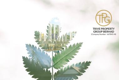 Trive_DagangNews2026